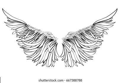 Wings. Vector illustration on white background. Black and white style.