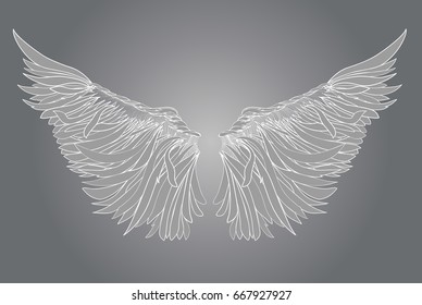 Wings. Vector illustration on white background. Black and white style.