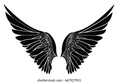 Wings. Vector illustration on white background. Black and white style.