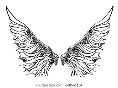 Wings. Vector illustration on white background. Black and white style.