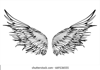 Wings. Vector illustration on white background. Black and white style. 