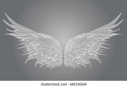 Wings. Vector illustration on white background. Black and white style.