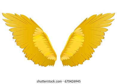 Wings. Vector illustration on white background. Golden metal
