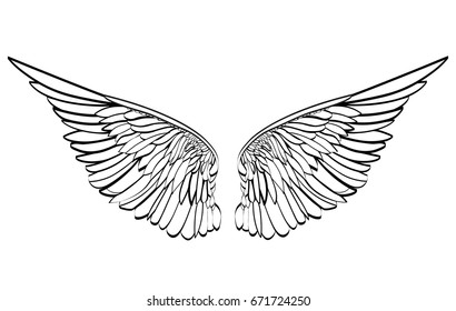 Wings. Vector illustration on white background. Black and white style.