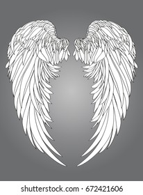 Wings. Vector illustration on white background. Black and white style.