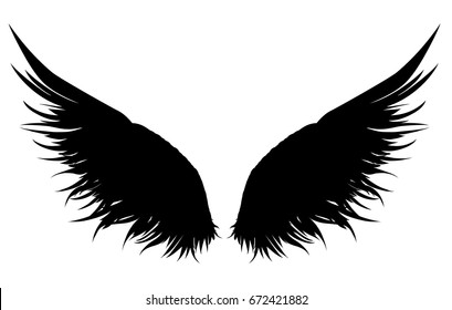 Wings. Vector illustration on white background. Black and white style.
