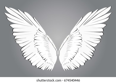 Wings. Vector illustration on white background. Black and white style 