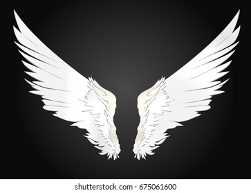 Wings. Vector illustration on white background. Black and white style 