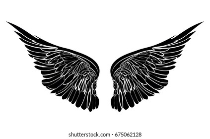 Wings. Vector illustration on white background. Black and white style.
