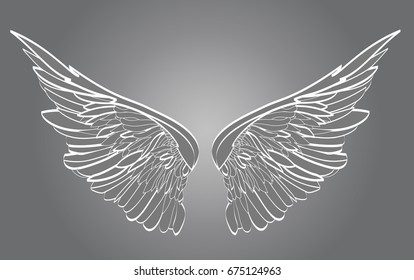 Wings. Vector illustration on white background. Black and white style.