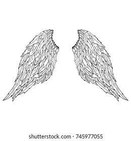 Wings. Vector illustration on white background. Black and white style eps10