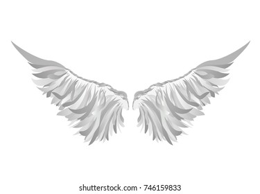 Wings Vector Illustration On Grey Background Stock Vector (Royalty Free ...