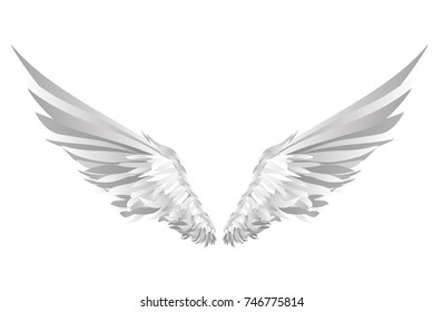 Wings. Vector illustration on white background. Black and white style.