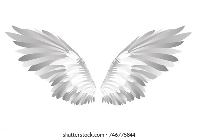 Wings. Vector illustration on white background. Black and white style.  