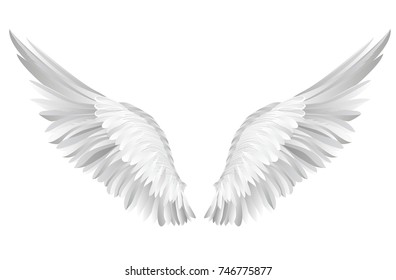 Angel Wings Swan Flying Isolated On Stock Photo 1053190049 | Shutterstock