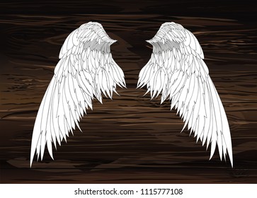 Wings. Vector illustration on wooden background. Black and white style.