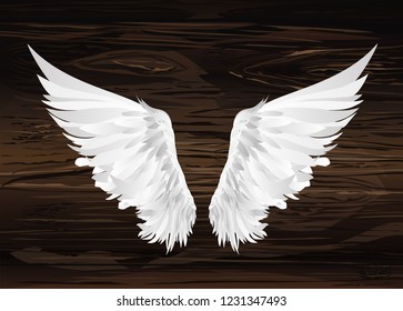 Wings. Vector illustration on wooden background. Black and white style.