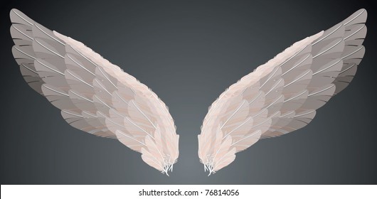 WINGS - VECTOR - ISOLATED