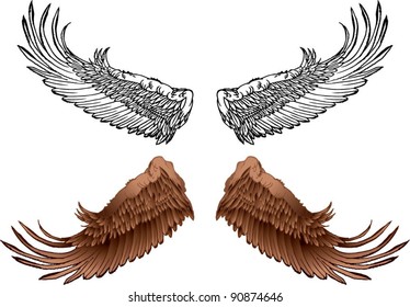 WINGS - VECTOR - ISOLATED