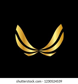 Wings vector logo. Wings vector icon