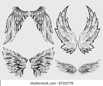 wings vector set