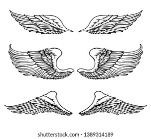 Wings Vector Set. EPS format