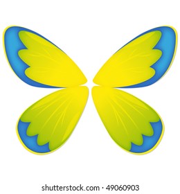 The wings for your butterfly - a vector illustration