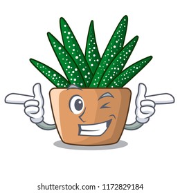 Wink character small zebra cactus plant on pot