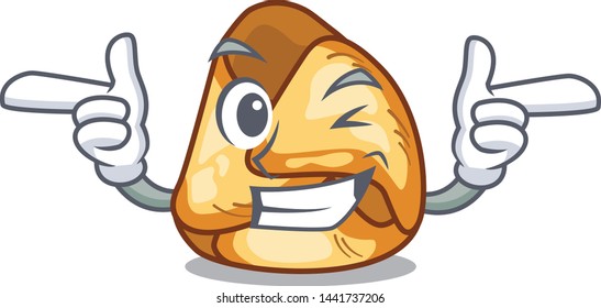 Wink fusi istriani isolated with the character