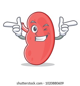 Wink kidney character cartoon style