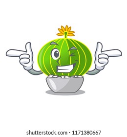 Wink plant notocactus magnifica on character pot