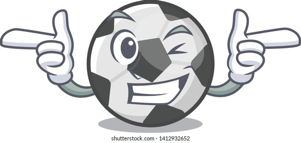 Wink soccer ball isolated with the mascot