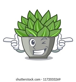 Wink view of green echeveria cactus cartoon