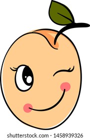 Winking apricot, illustration, vector on white background.