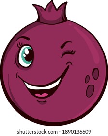 Winking-Granatapfelat , Illustration, Vektorgrafik auf weißem Hintergrund