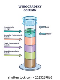 Winogradsky Column Device Method For Soil Science Research Outline Diagram. Culturing Microorganisms, Bacteria And Algae Method Vector Illustration. Educational Perpetual Layer Structure Description.