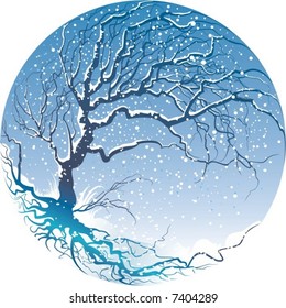 Winter