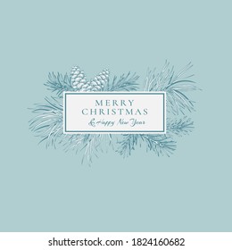 Winter abstract card with rectangle frame. Botanical illustration with fir and pine branches and cones. Light blue background and white pattern.