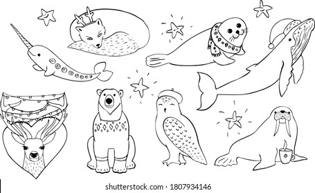 Winter animals vector outline  illustrations set. Narwhal, polar fox, seal, humpback whale, reindeer, polar bear, owl, walrus 