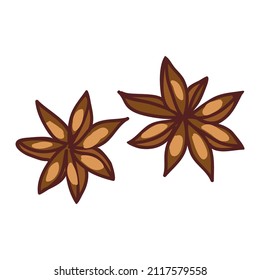 Winter aromatic anise star spices for decoration and preparation of pastries and drinks. A set of 6 elements. Cinnamon, orange, star anise