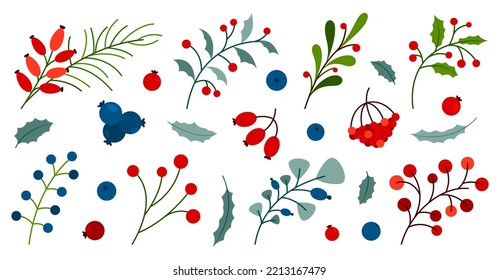 Winter autumn berry plant leaf branch sprout fruit colorful flat set. Holly wild rose viburnum blueberry sea buckthorn lingonberry cranberry. Floral element festive decor card sticker print isolated