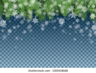 Winter backdrop with branches of christmas tree and snowflakes. Merry Christmas greeting card template. Green pine tree branches and falling snow on transparent background vector illustration.