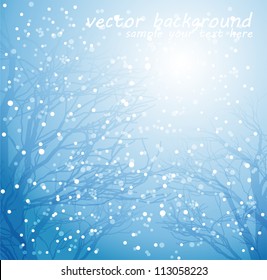 Winter background