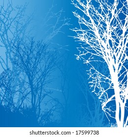 Winter background.