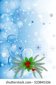 Winter background with berry and snowflakes. Can be use as banner or poster.Vector illustration.