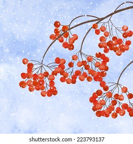 Winter background with  branches rowan berry, on watercolor  backdrop.  Christmas winter landscape greeting card
