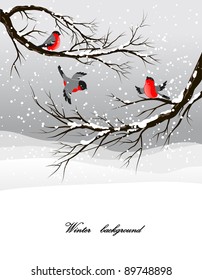 Winter background with bullfinch