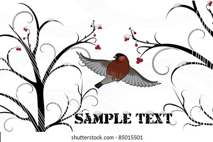 Winter background with bullfinch and wild ash