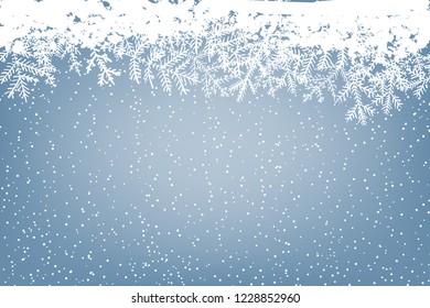  Winter background with falling snow and fir branches. Christmas card with space for text.