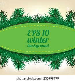 winter background with fir branches